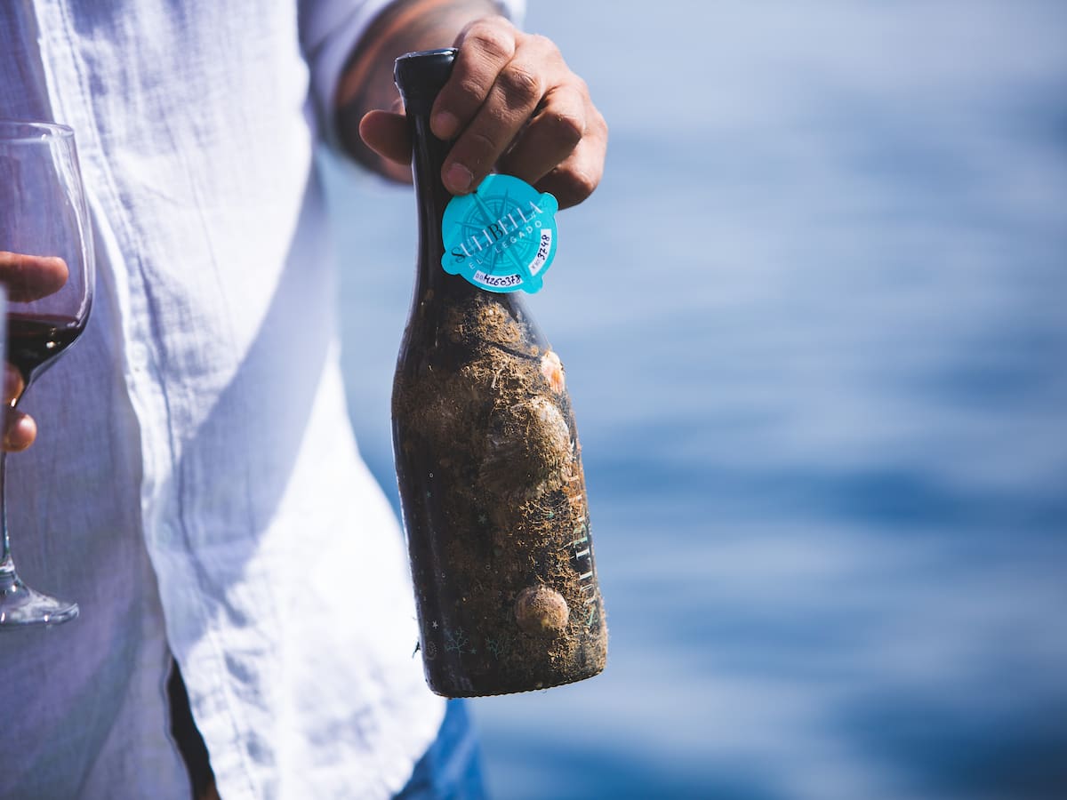 El proyecto de Mar, Gregorio y Miguel consigue el equilibrio perfecto para sus vinos bajo el mar de Escombreras