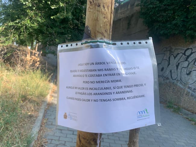El mensaje que se puso en diversos árboles y al que hacía referencia a Toño