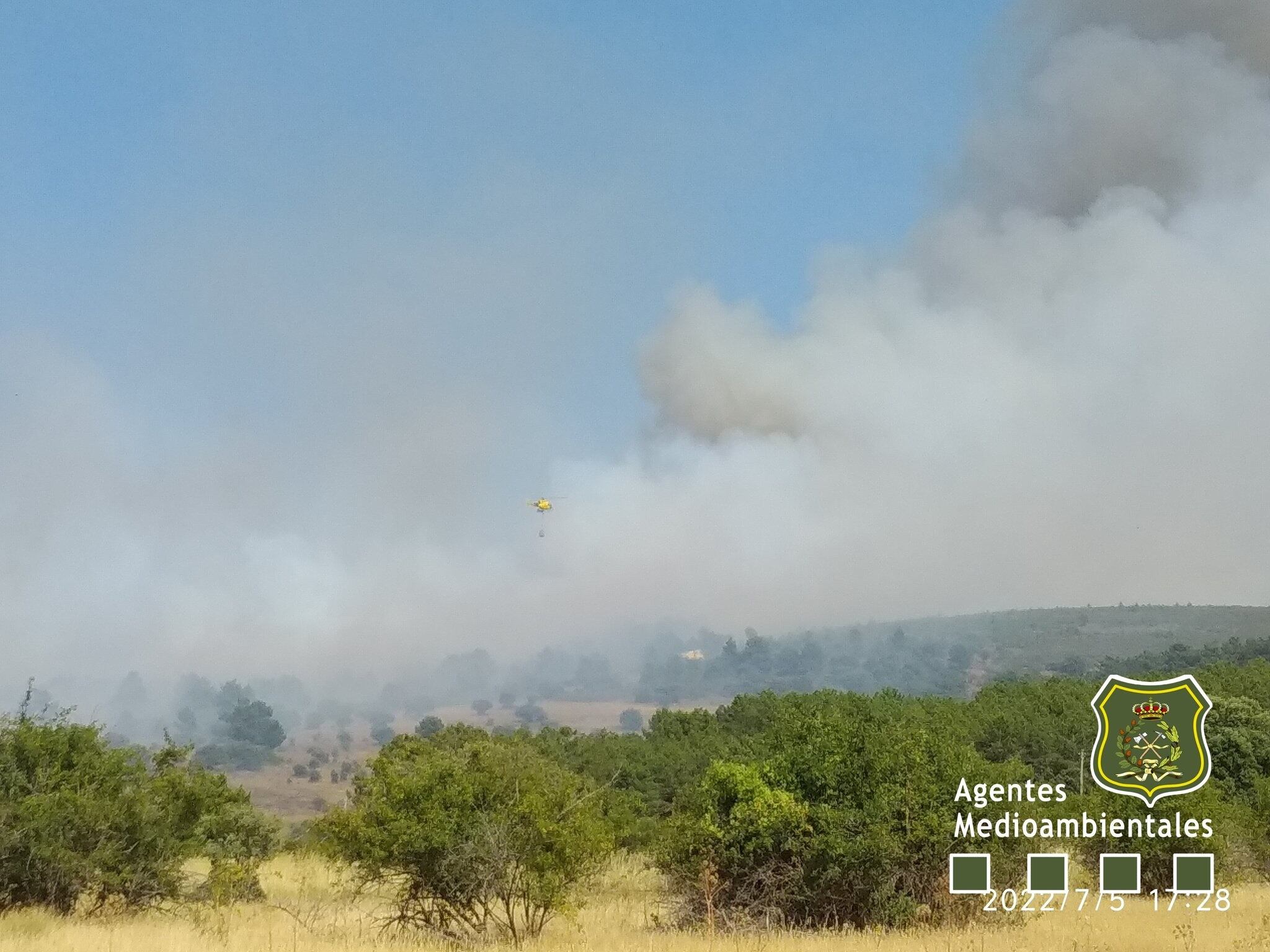 Incendio forestal