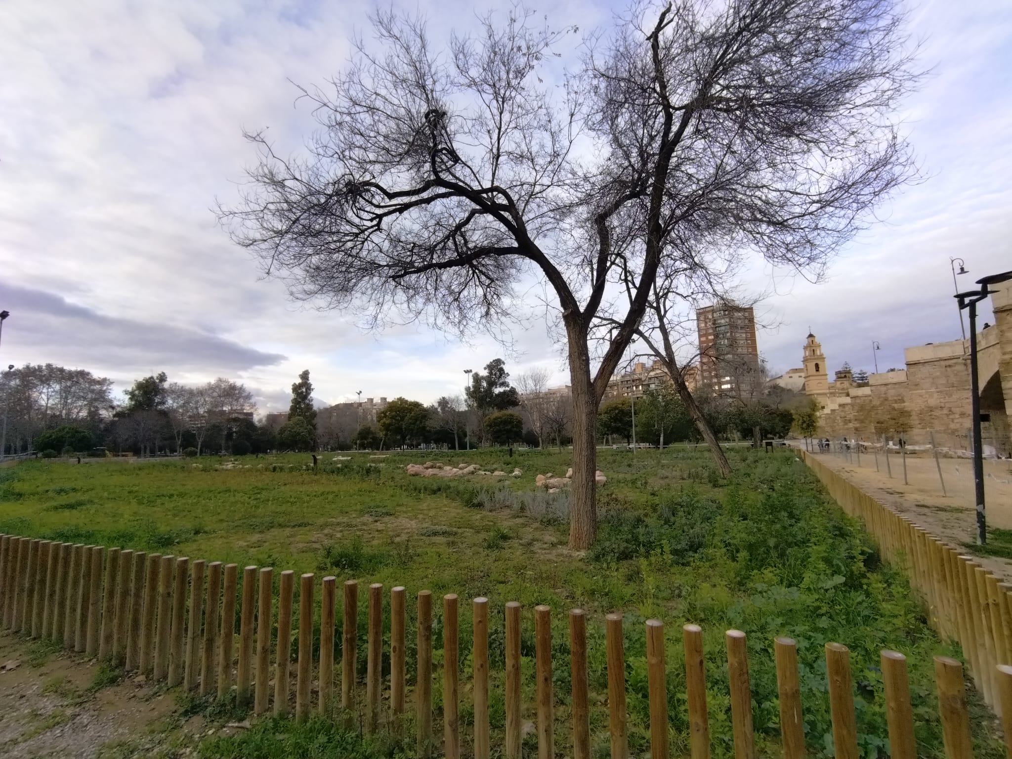 El nuevo Jardín de Polinizadores de València está situado en el tramo VI del Jardín del Túria, frente a las Torres de Serranos, y ha sido concebido para favorecer la presencia de fauna en general.