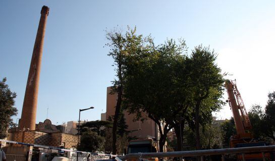 És un emblema del paisatge urbà reusenc.