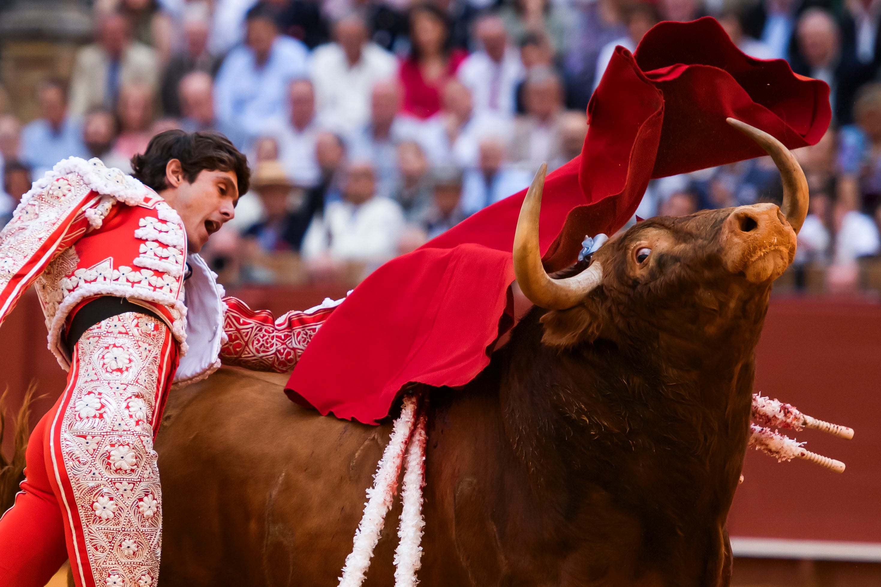 SEVILLA, 19/04/2024.- El diestro Sebastián Castella con su segundo toro de la tarde en el festejo de la Feria de Abril que se celebra este viernes en la Real Maestranza de Sevilla. EFE/ Raúl Caro.
