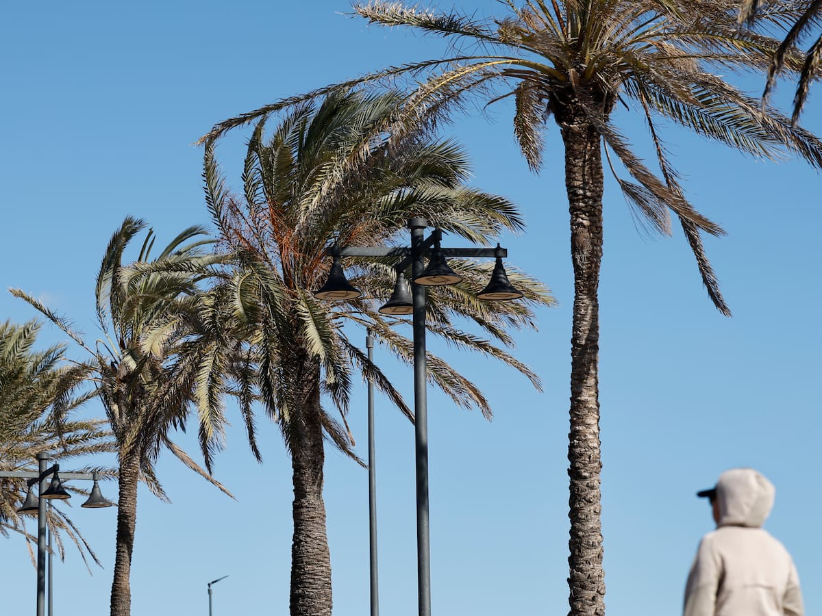 Reparar, mantener, proteger