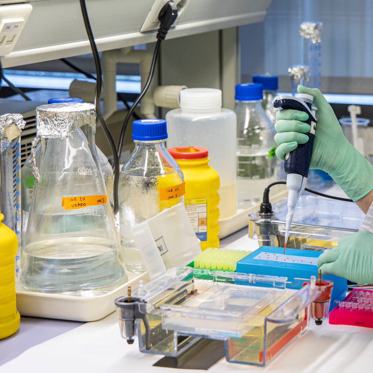 Personal de investigación biomédica y medicina genómica de las universidades de Vigo, Santiago y A Coruña reclaman un convenio único