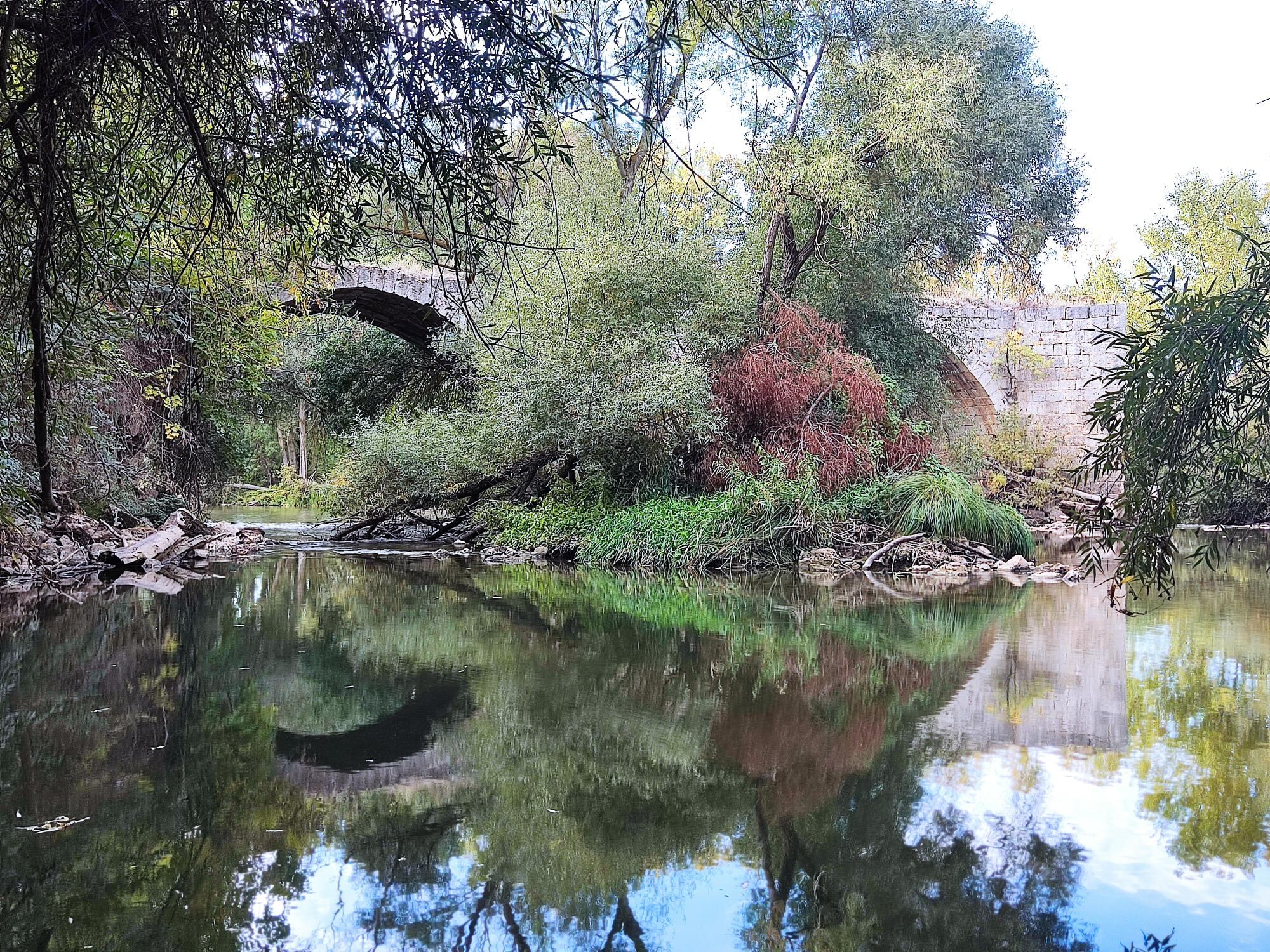 Puente en estado lamentable