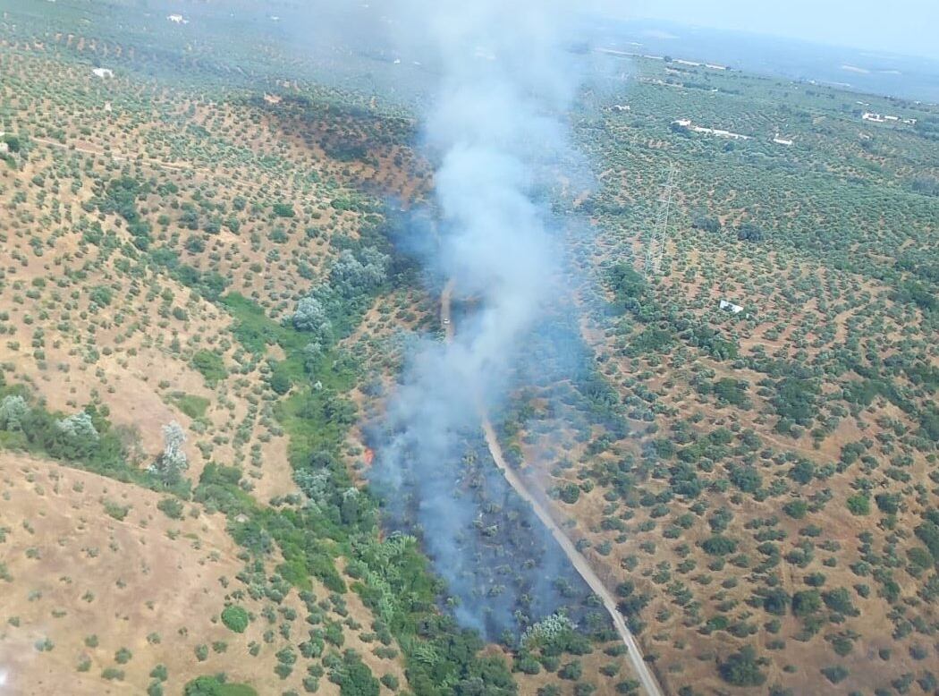 Incendio forestal en Montoro, Córdoba