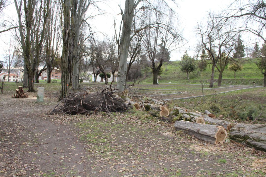 Tala de árboles en el Parque de la Huerta el Duque de Cuéllar