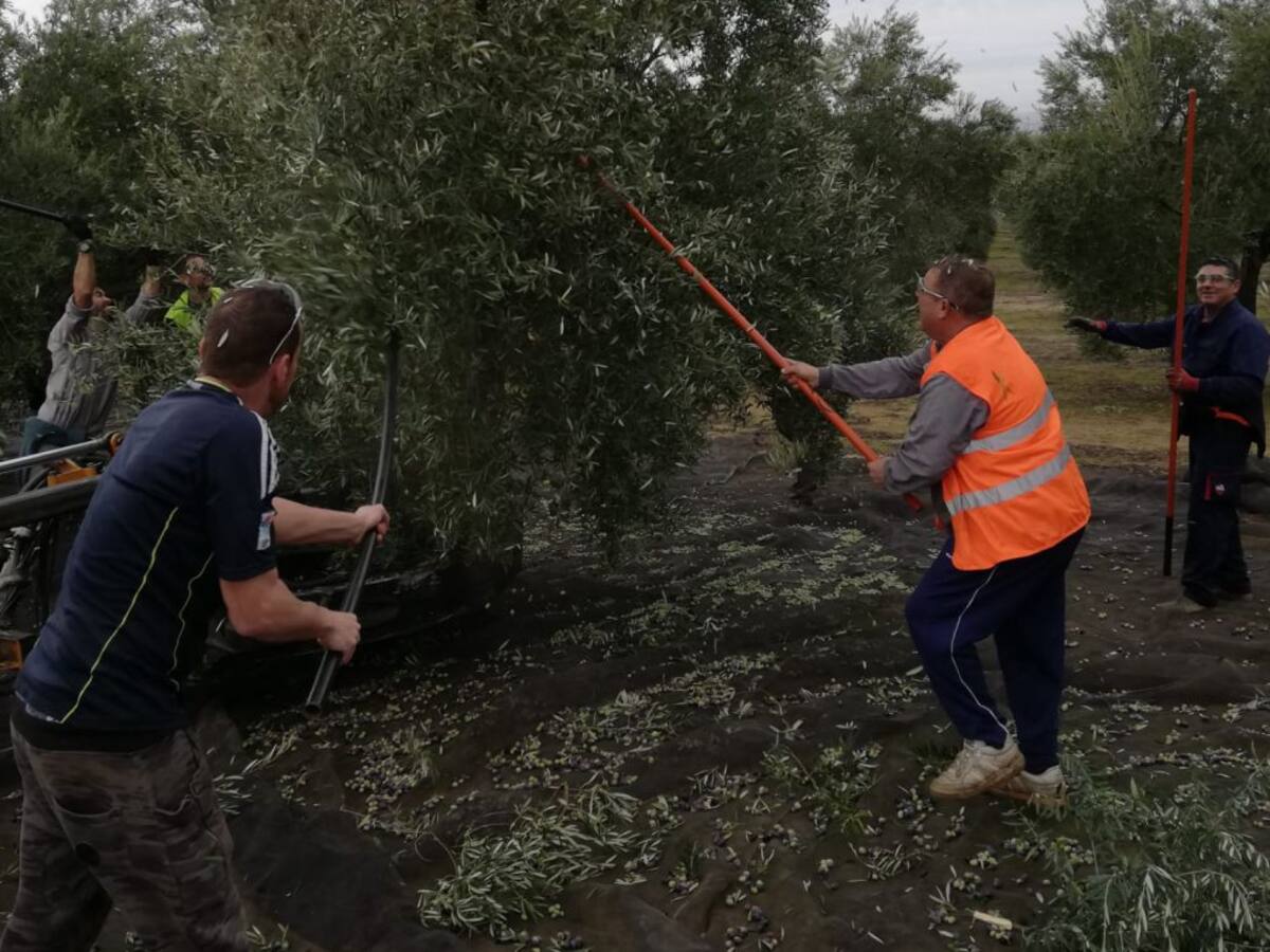 El PP aplaude el incremento del PFEA y el PSOE critica su "descaro"