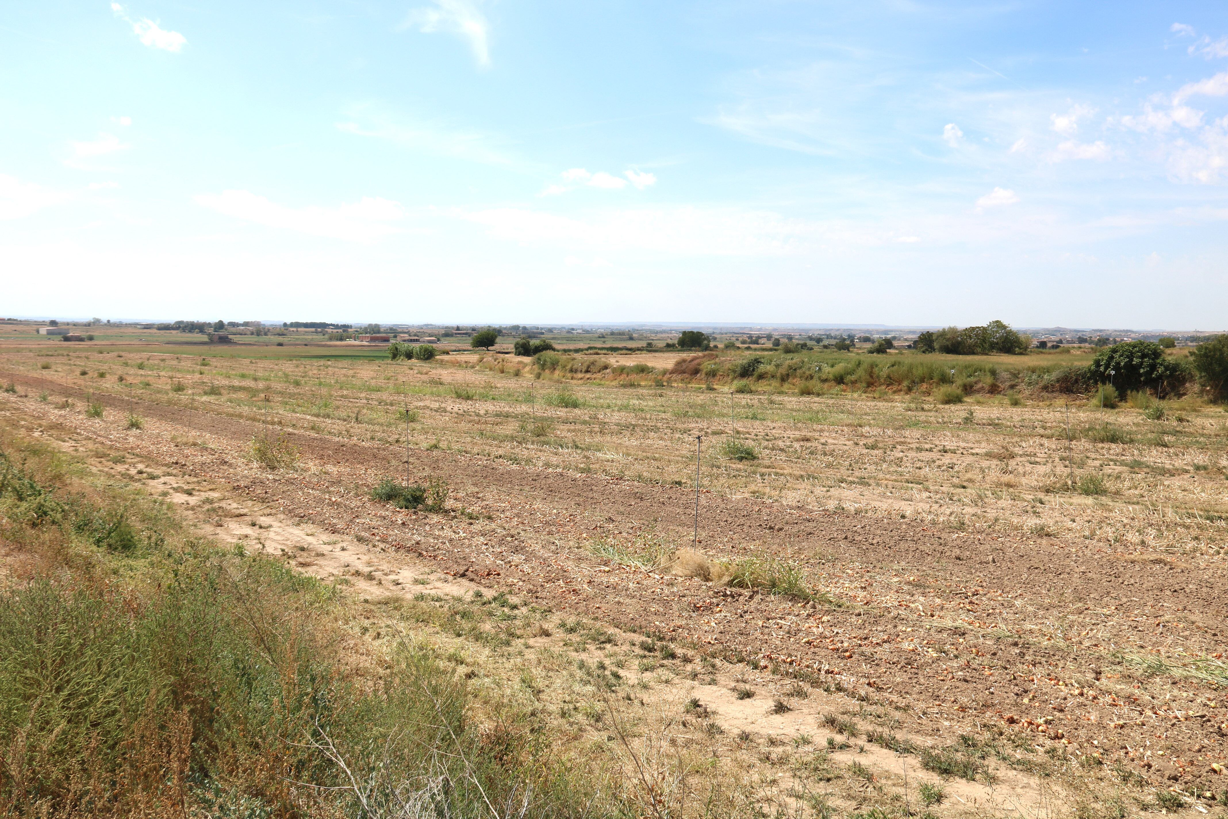 Terrenys on podria anar la planta de La Sentiu de Sió. Foto: ACN.