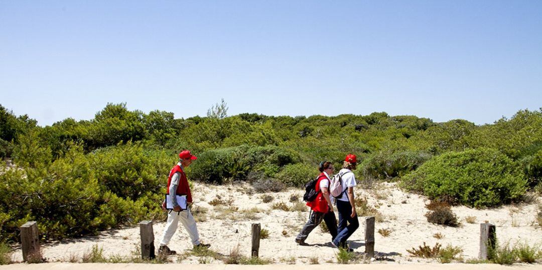 Varios voluntarios de Cruz Roja en la Devesa