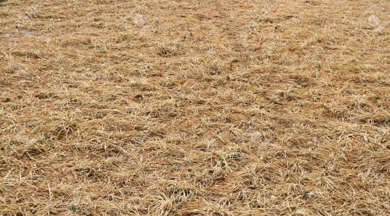 El concejal de Agricultura invita al consejero a venir a la zona de Talavera