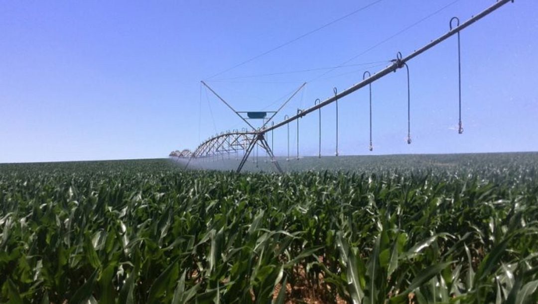 Acuerdo importante para agricultores de la zona de Quintana del Puente y Palenzuela