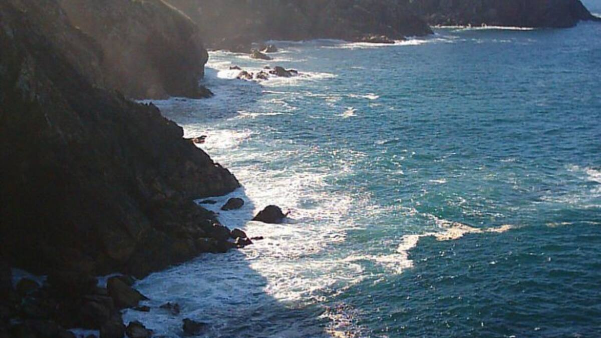 Una "vaca" muy querida