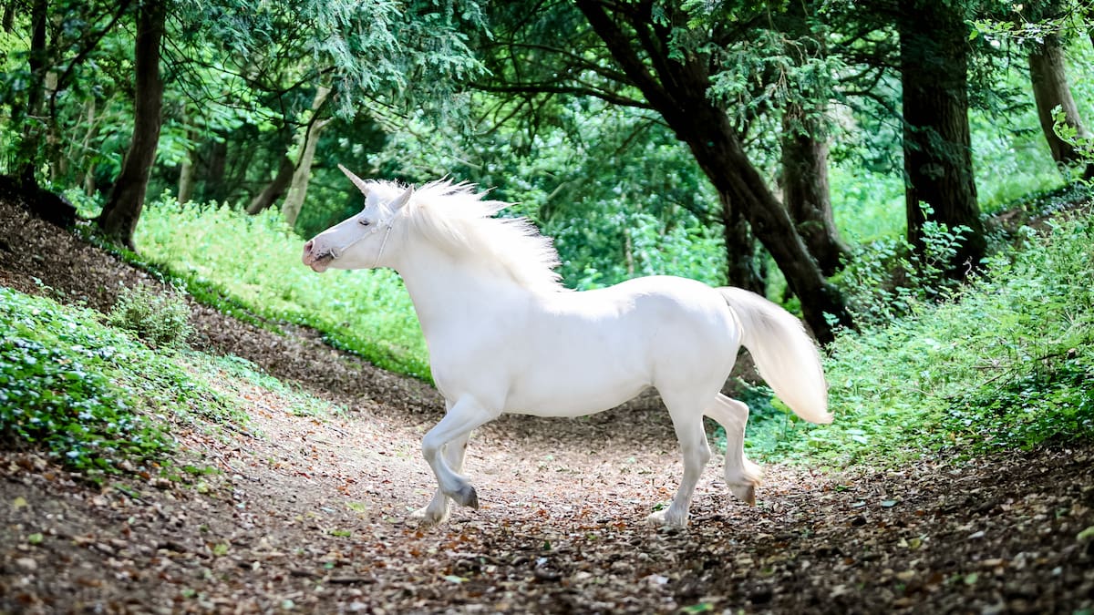 El teléfono escacharrado que provocó que los unicornios acabaran apareciendo en la Biblia