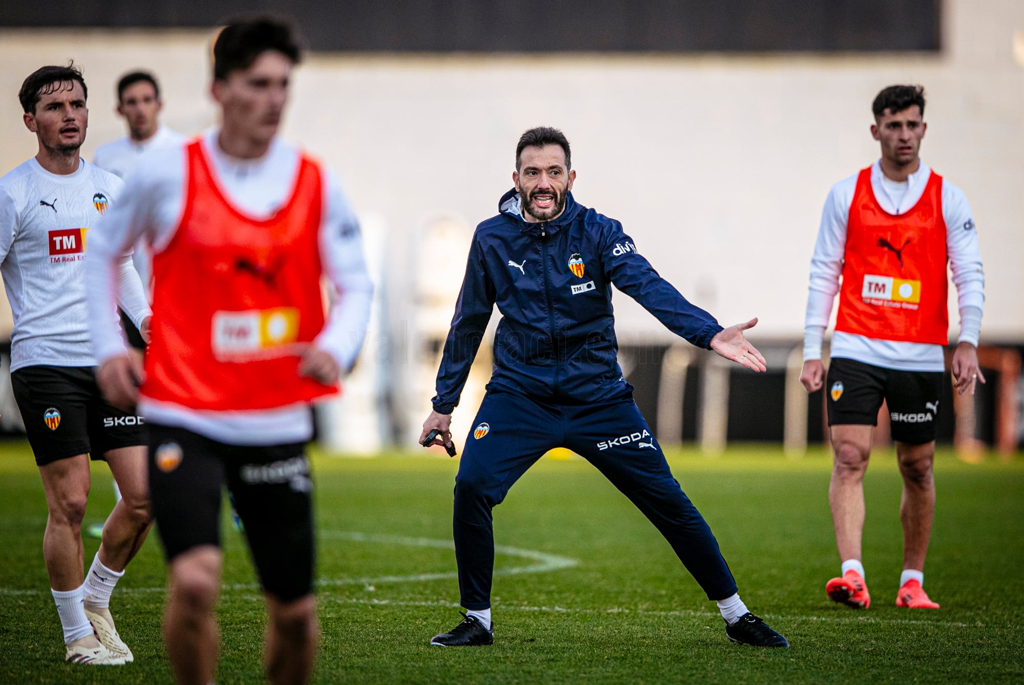 Carlos Corberán dirige el entrenamiento del Valencia CF antes de debutar ante el Real Madrid