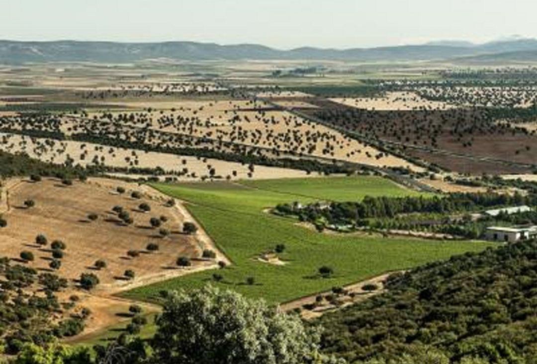 36 hectáreas con la meseta toledana al norte, La Mancha al este y el Campo de Calatrava al sur