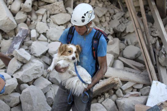 Un voluntario salva a un perro durante los trabajos de rescate tras el terremoto en la localidad de Amatrice, en el centro de Italia, hoy, 24 de agosto de 2016. Al menos 73 personas han muerto hoy tras el terremoto de 6 grados en la escala Ritcher que ha 