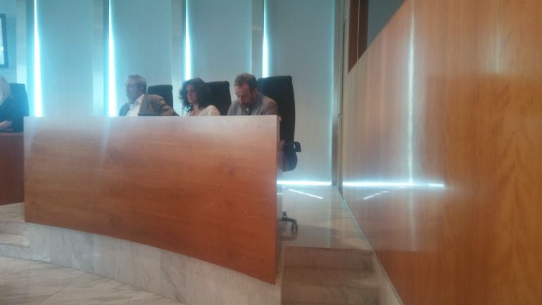 Vericad en el pleno de hoy del Consell de Ibiza