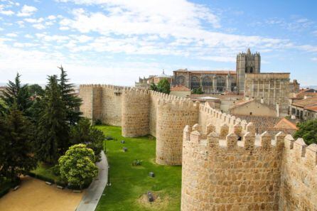 Ávila fue una de las ciudades que integró el grupo, en su nacimiento, en el año 1993