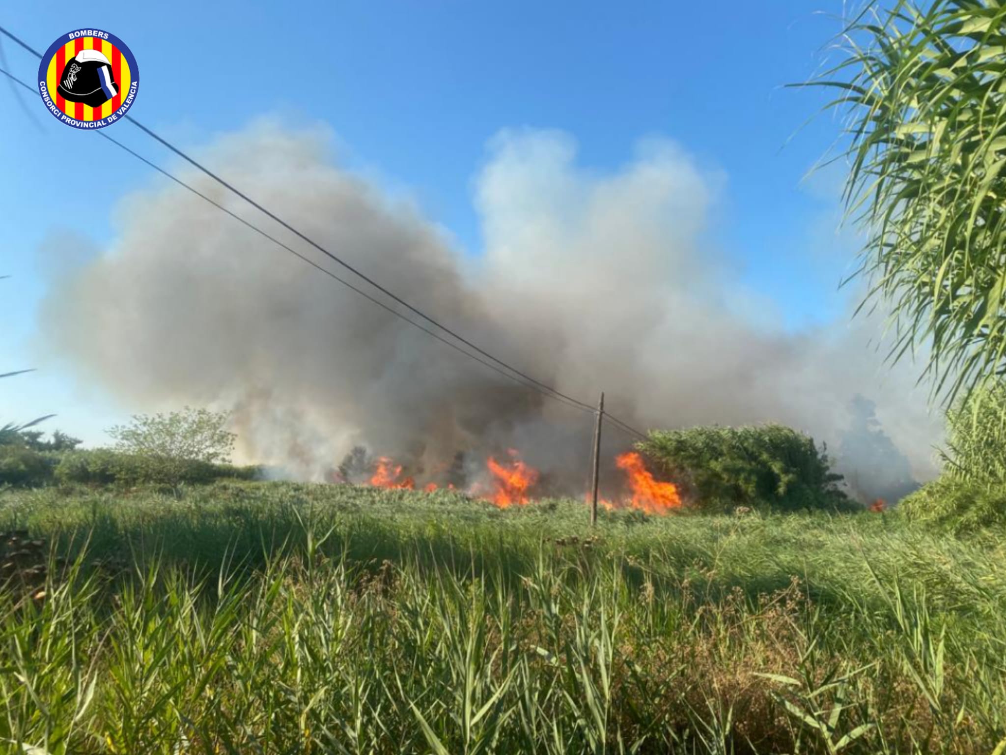 En los últimos días se han producido varios incendios en la localidad, al parecer intencionados, como este en la zona de la Font Salada.