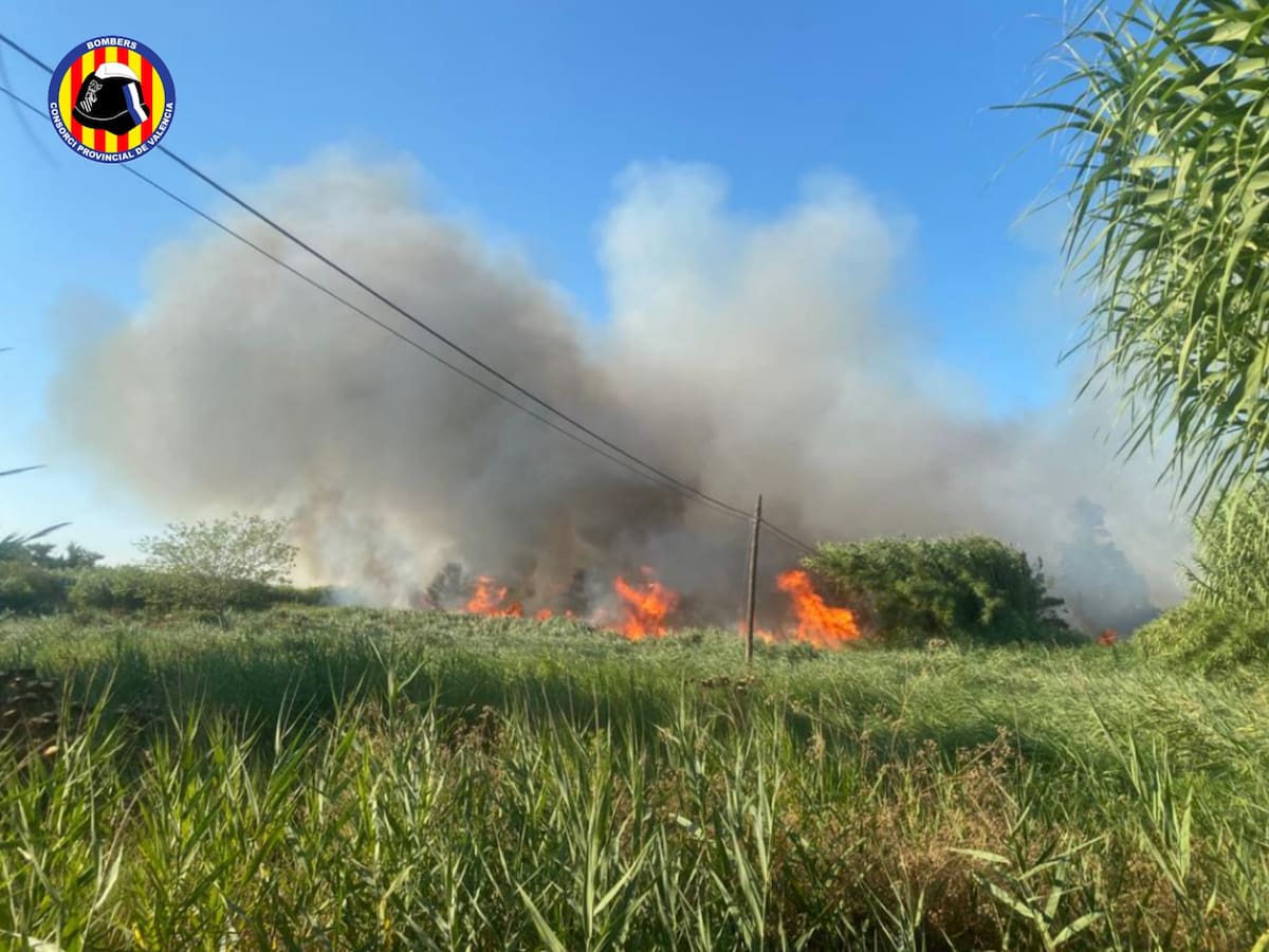 Un pirómano podría estar detrás de un nuevo incendio en Oliva