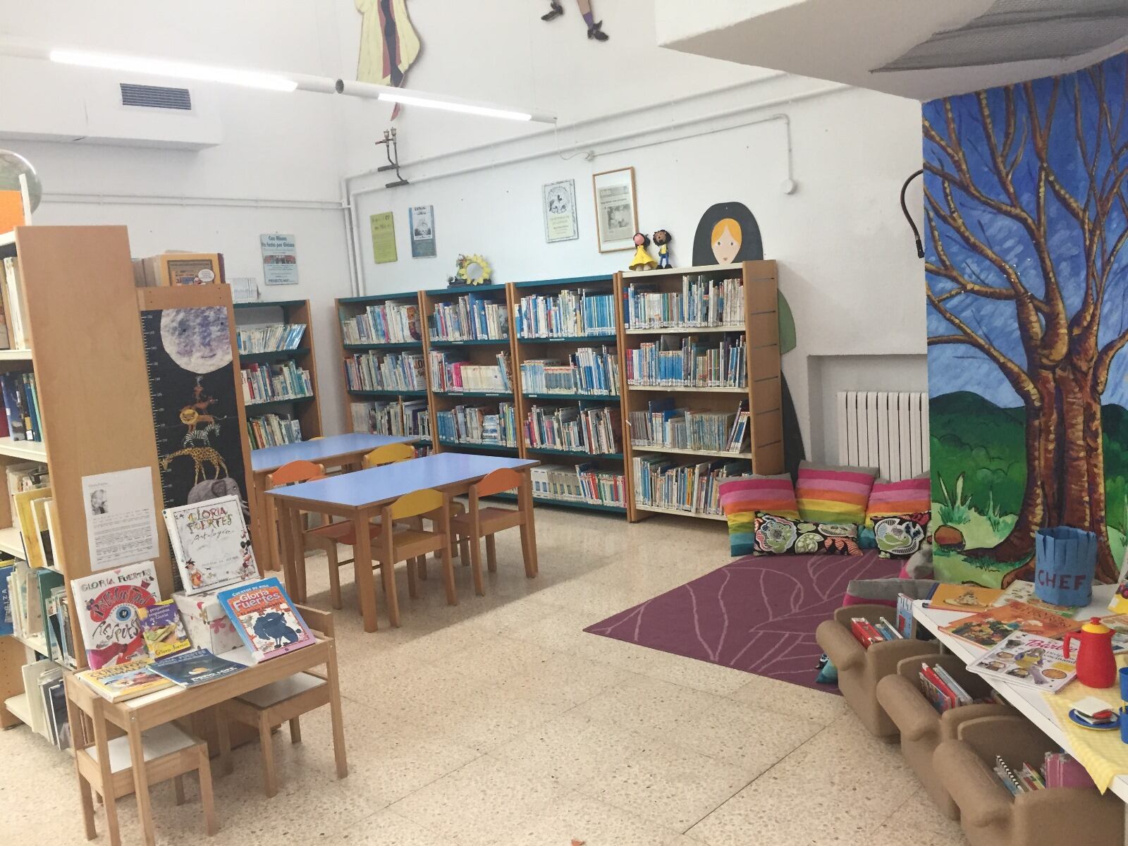 Imagen de la biblioteca