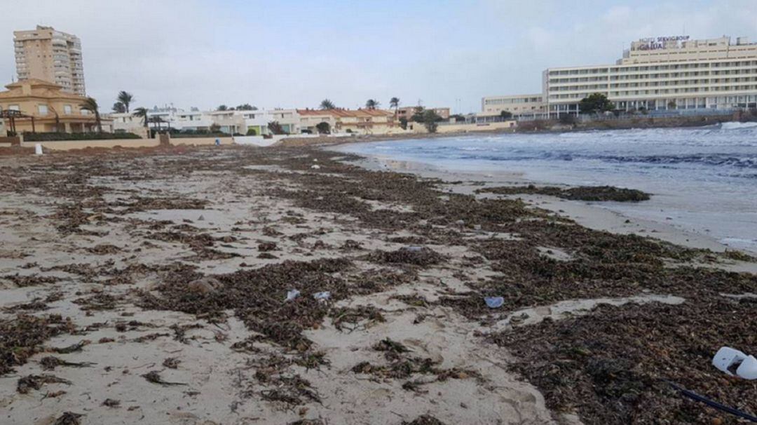 Playa del Galúa en La Manga, afectado tras la borrasca Gloria