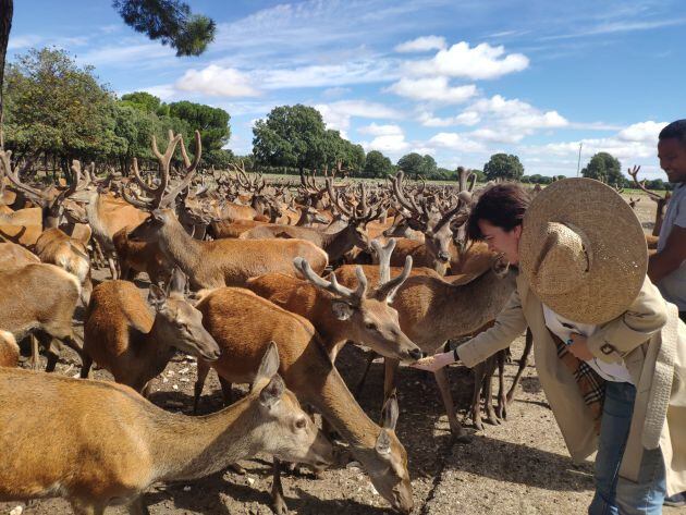 Amaya Arzuaga, entre sus ciervos en la finca de la que se surte el Restaurante El Taller