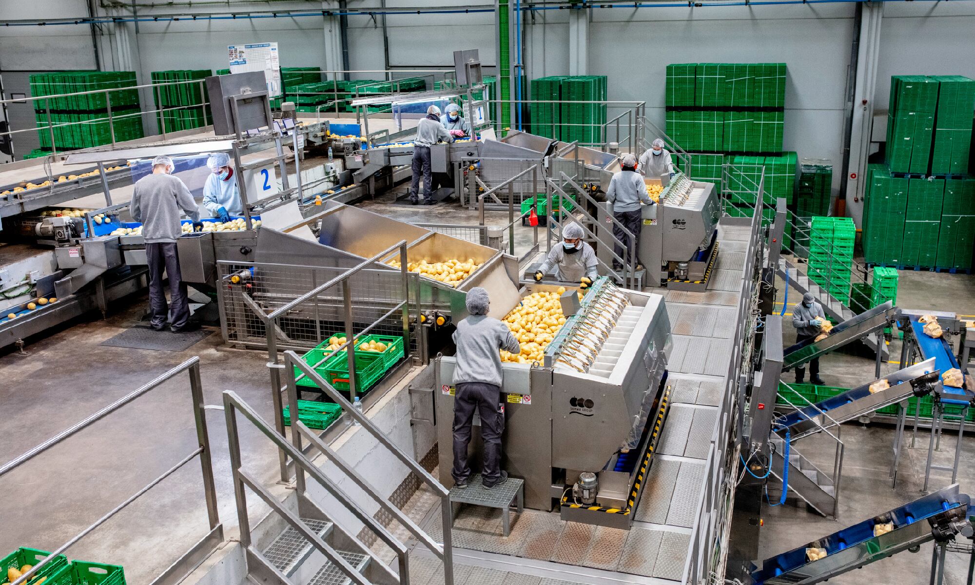 Uno de los proveedores de patatas de Castilla y León de Mercadona