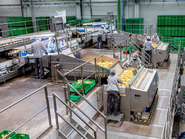Uno de los proveedores de patatas de Castilla y León de Mercadona
