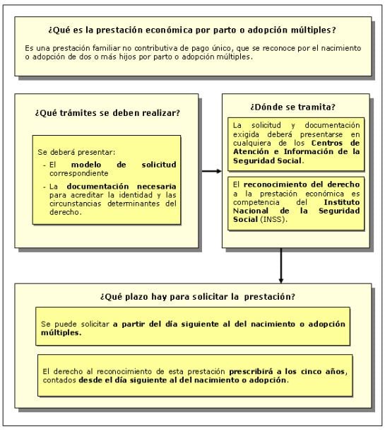 Información sobre las ayudas por parto múltiple. Más información en la página de la Seguridad Social