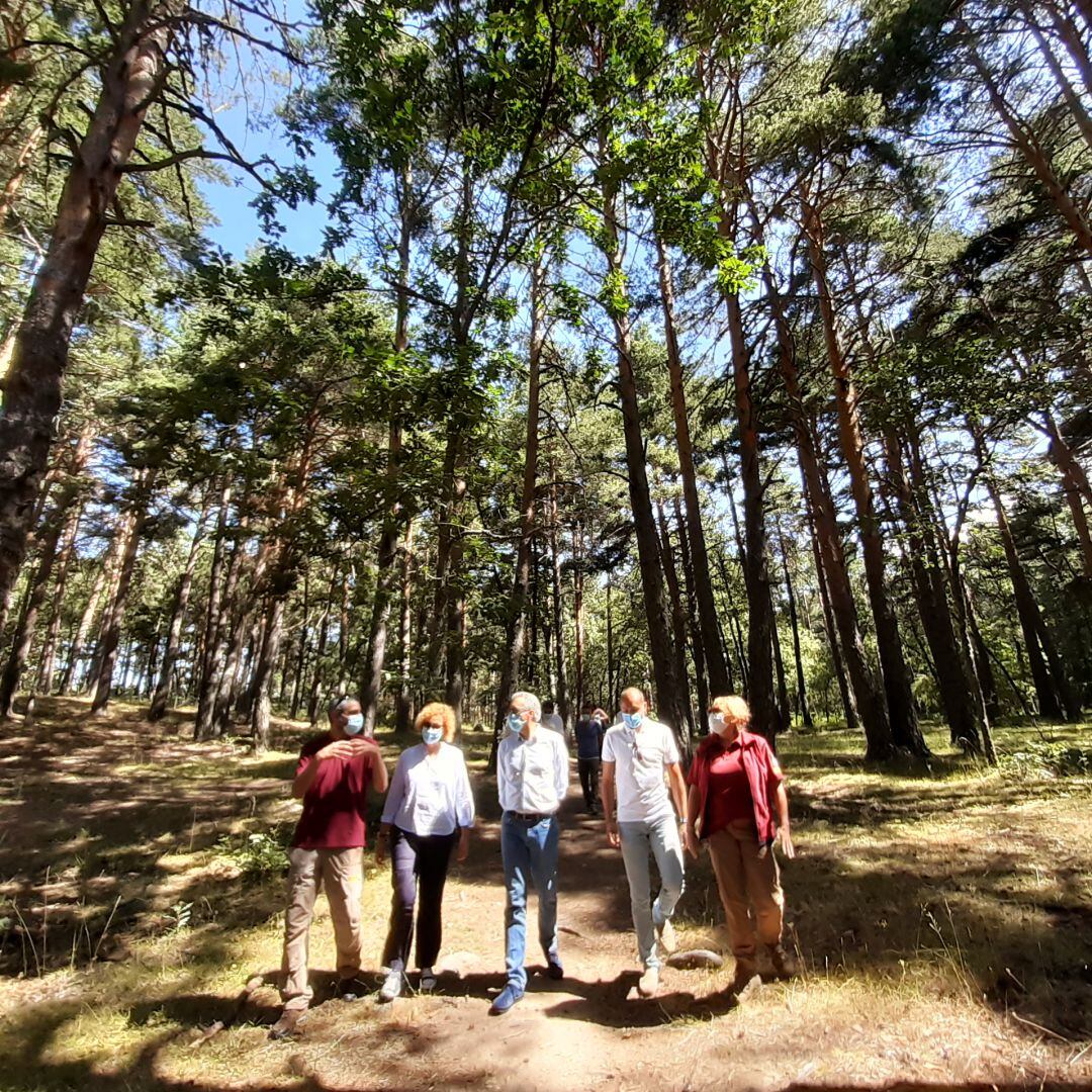 El delegado del Gobierno en Castilla y León durante un paseo por los montes de Valsaín.