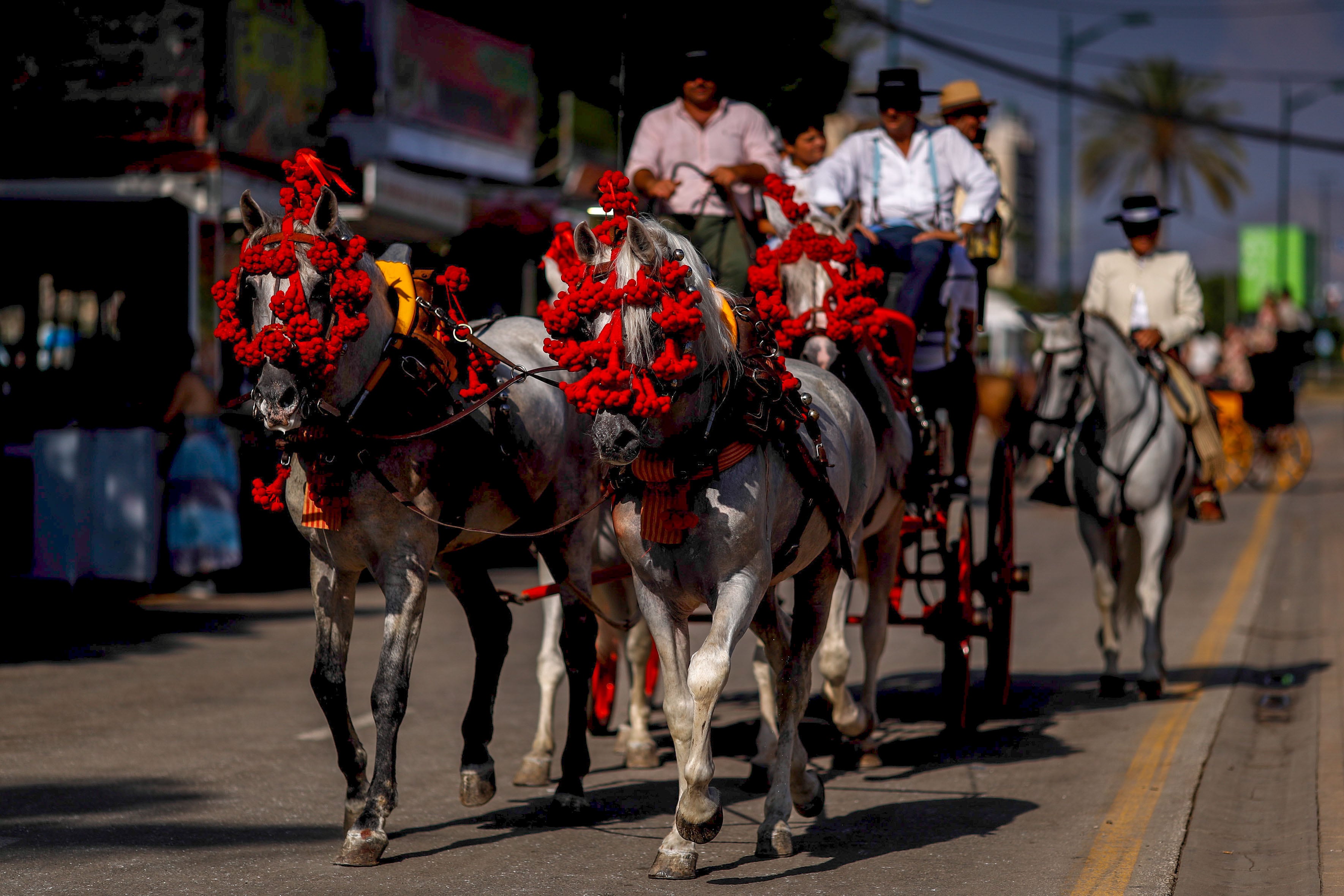 MÁLAGA (ANDALUCÍA), 22/08/2024.- Una carroza de caballos pasea en el recinto Ferial Cortijo de Torres este jueves, durante la sexta jornada de la Feria de Málaga (Andalucía). EFE/ Jorge Zapata
