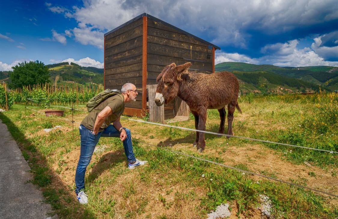 Manolo Otero, de Enzima Wines, y su burro