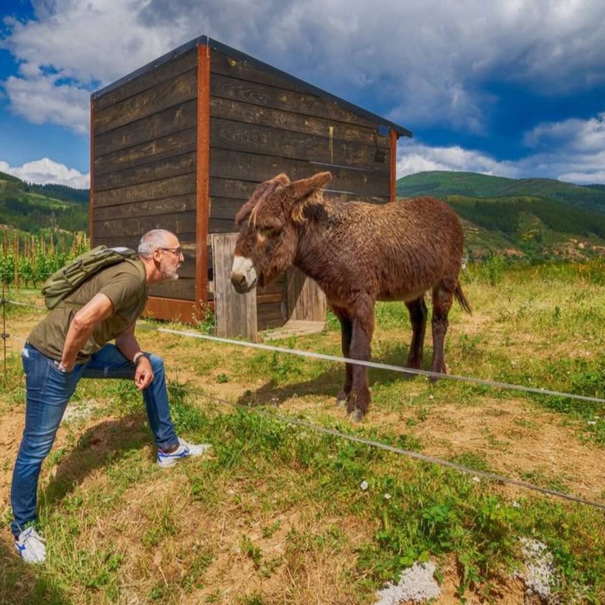 Manuel Otero, de la bodega Encima Wines de Molinaseca: "Nuestro burro ‘Risto’ nos avisó de que venía el fuego"