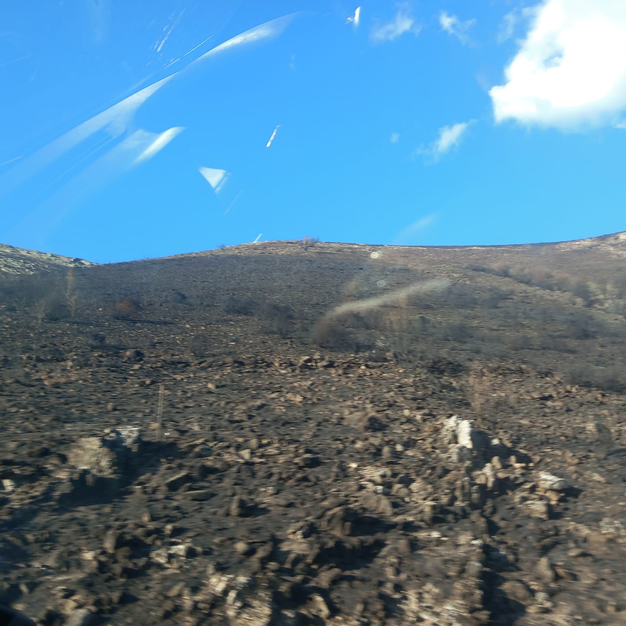 Paisaje lunar en el Puerto de Honduras donde la zona alta quedó arrasada