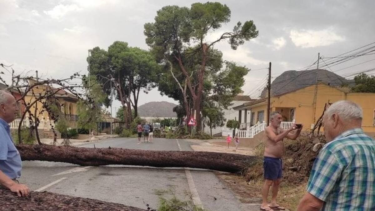 La Columna de Carlos Arcaya: «La ciencia salva vidas»