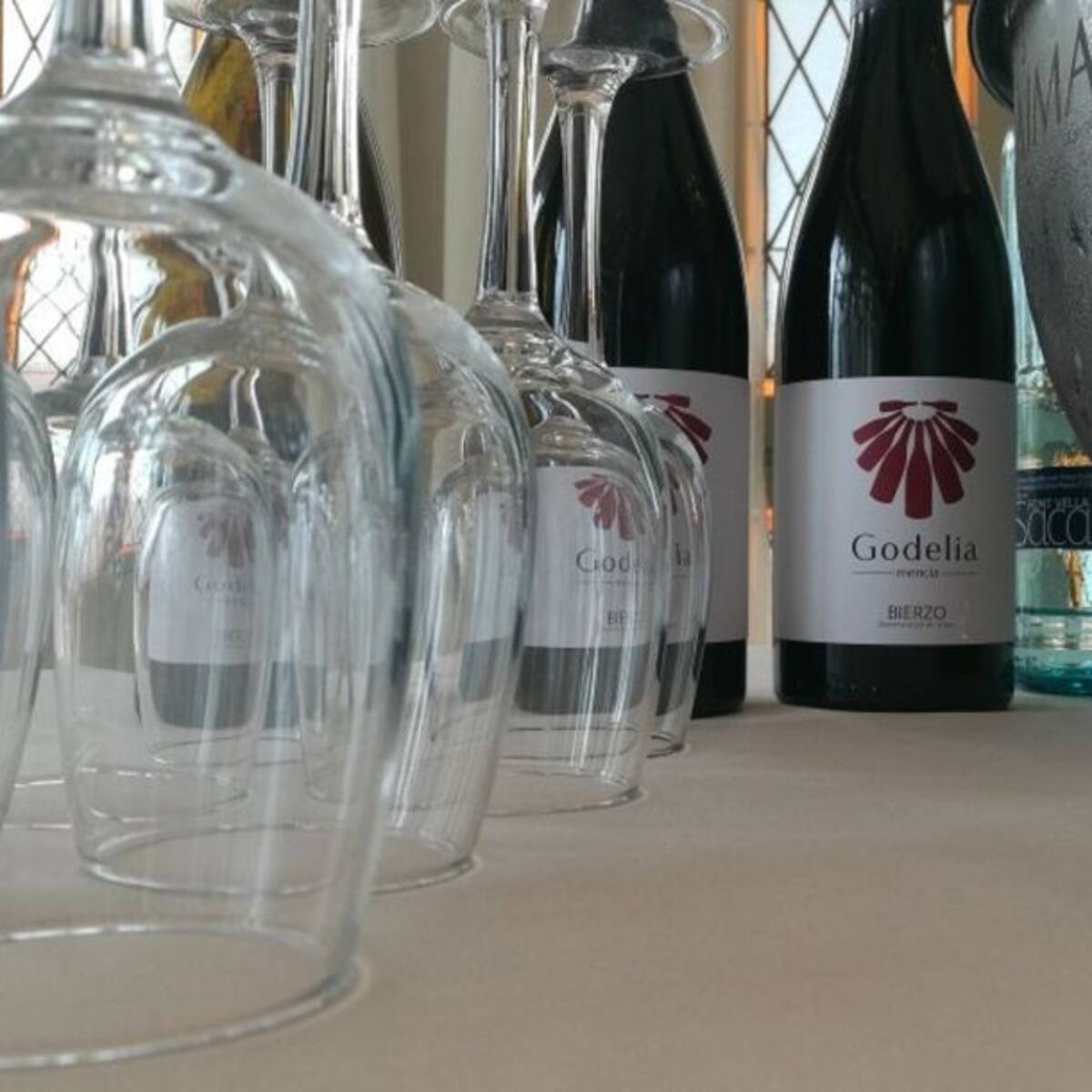 Godelia Mencía 2015, entre los 100 mejores vinos del mundo