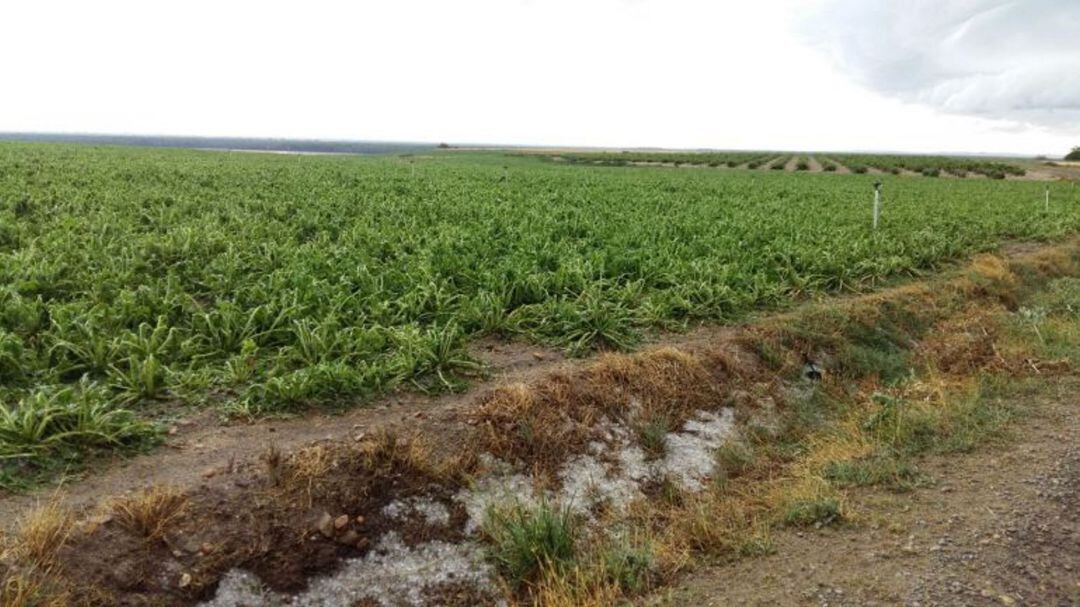 Un campo en la provincia de Segovia