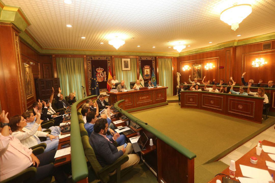 Pleno del Ayuntamiento de Marbella 