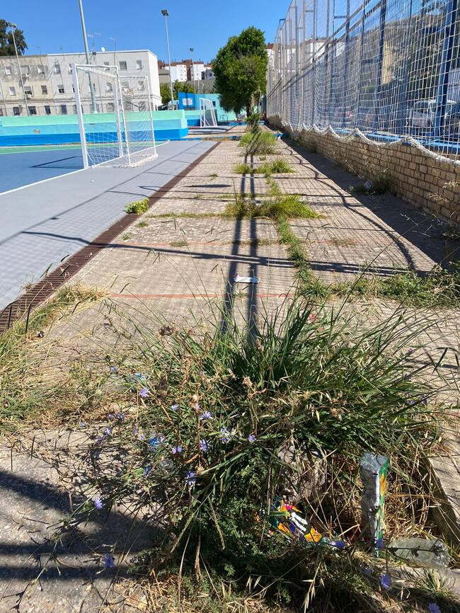 Una de las imagenes que envía el Grupo socialista en la denuncia