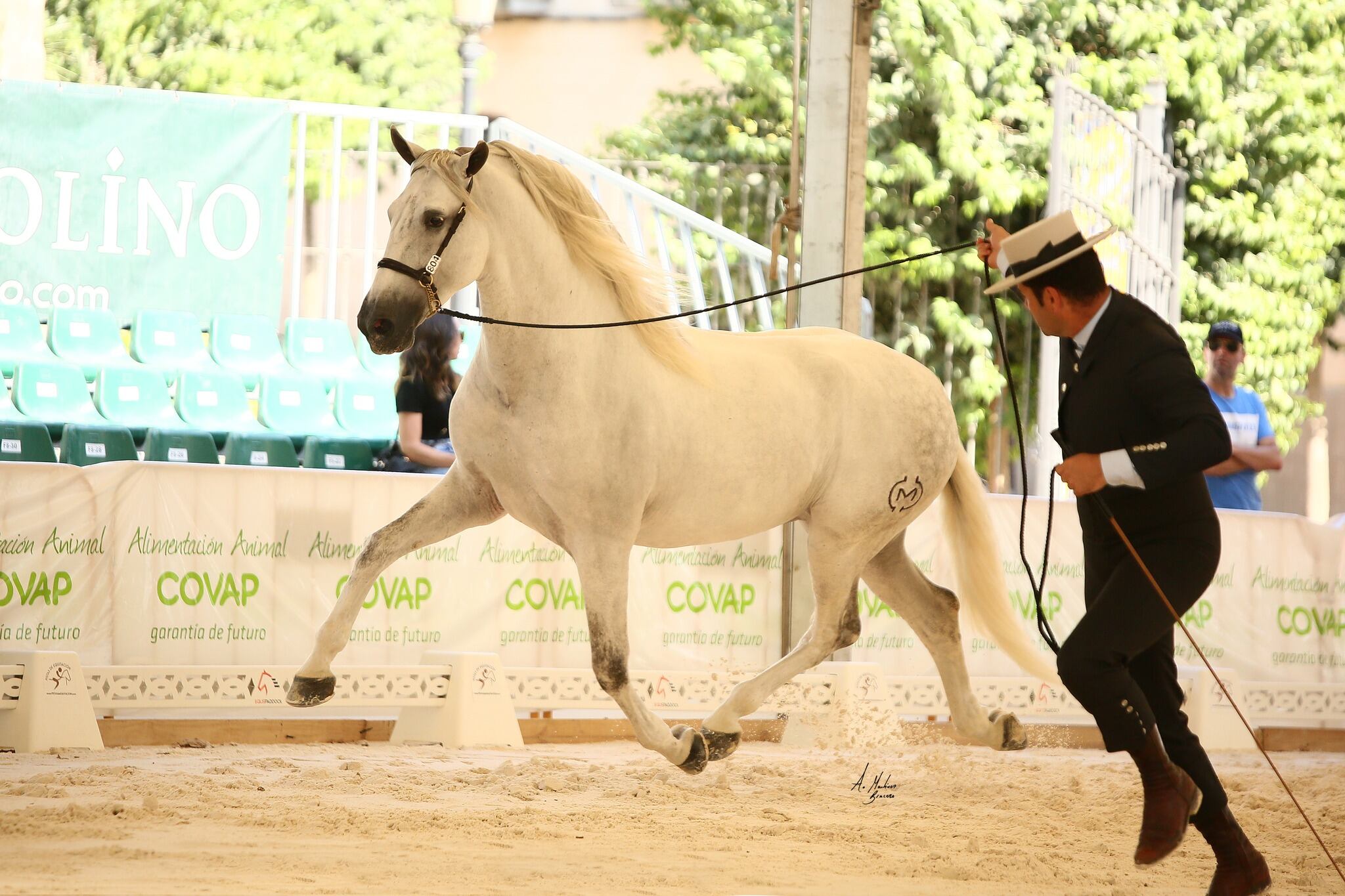 Concurso Morfológico y Funcional de Caballos de Pura Raza Española, Anducab 2023