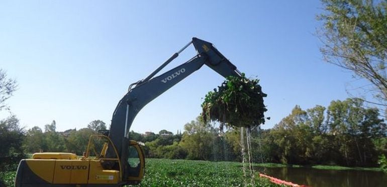 UNa pala retira camalote del río este verano