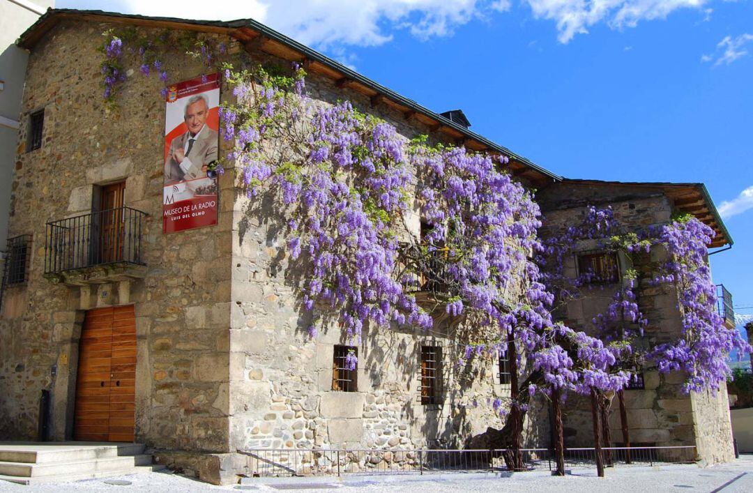 La glicinia acapara las fotografías de los visitantes de Ponferrada