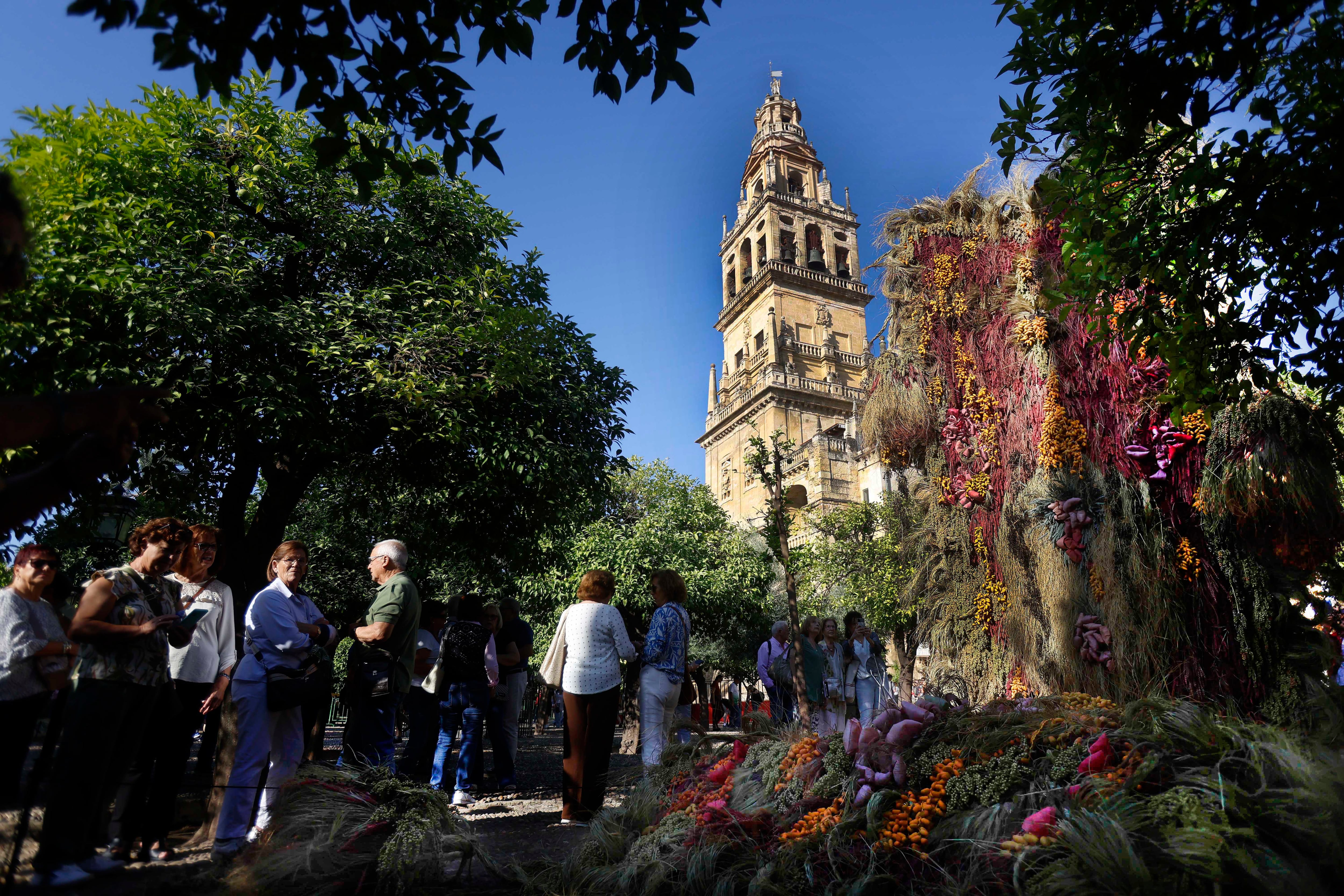 CÓRDOBA, 17/10/2025.- Instalación floral en el Patio de los Naranjos de la Mezquita-Catedral realizada por Michael Putnam, creador de Putnam Flowers, un aclamado artista floral afincado en la ciudad de Nueva York, y uno de los creadores que participan en la Feria Internacional de Flores 'Flora', bajo el lema 'Futuro', en la que varios de los artistas florales más reconocidos del mundo han creado obras efímeras y únicas en los lugares más emblemáticos de Córdoba. EFE/Salas