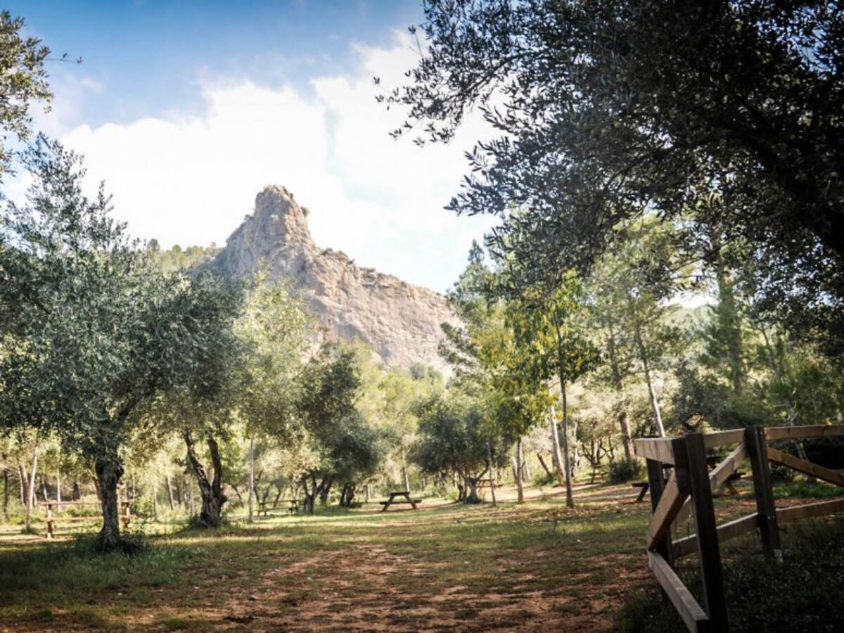 Estado de los sistemas contra incendios en Xàtiva: foco en los cañones de agua