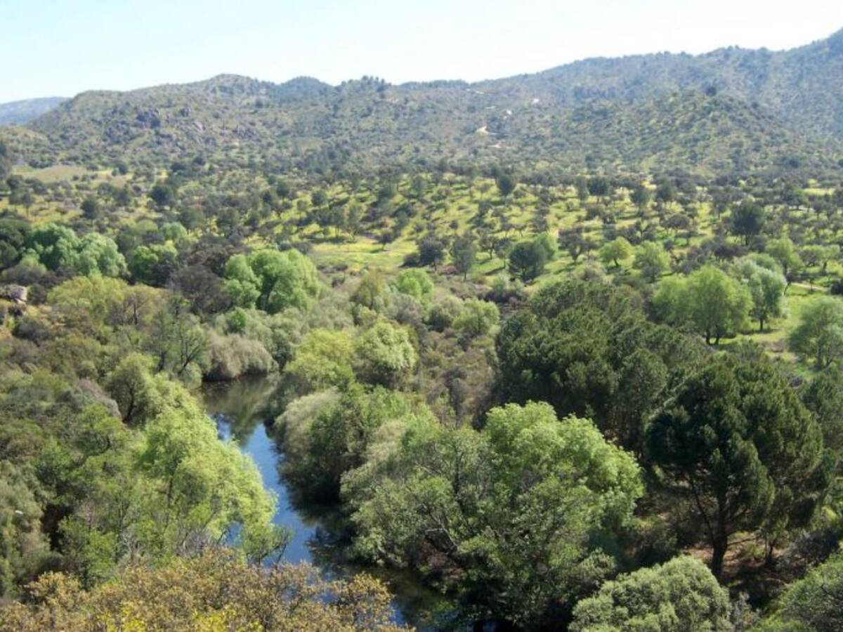La Junta presentará el segundo Plan de Desarrollo Sostenible del Parque Natural Sierra de Andújar a los empresarios de la zona