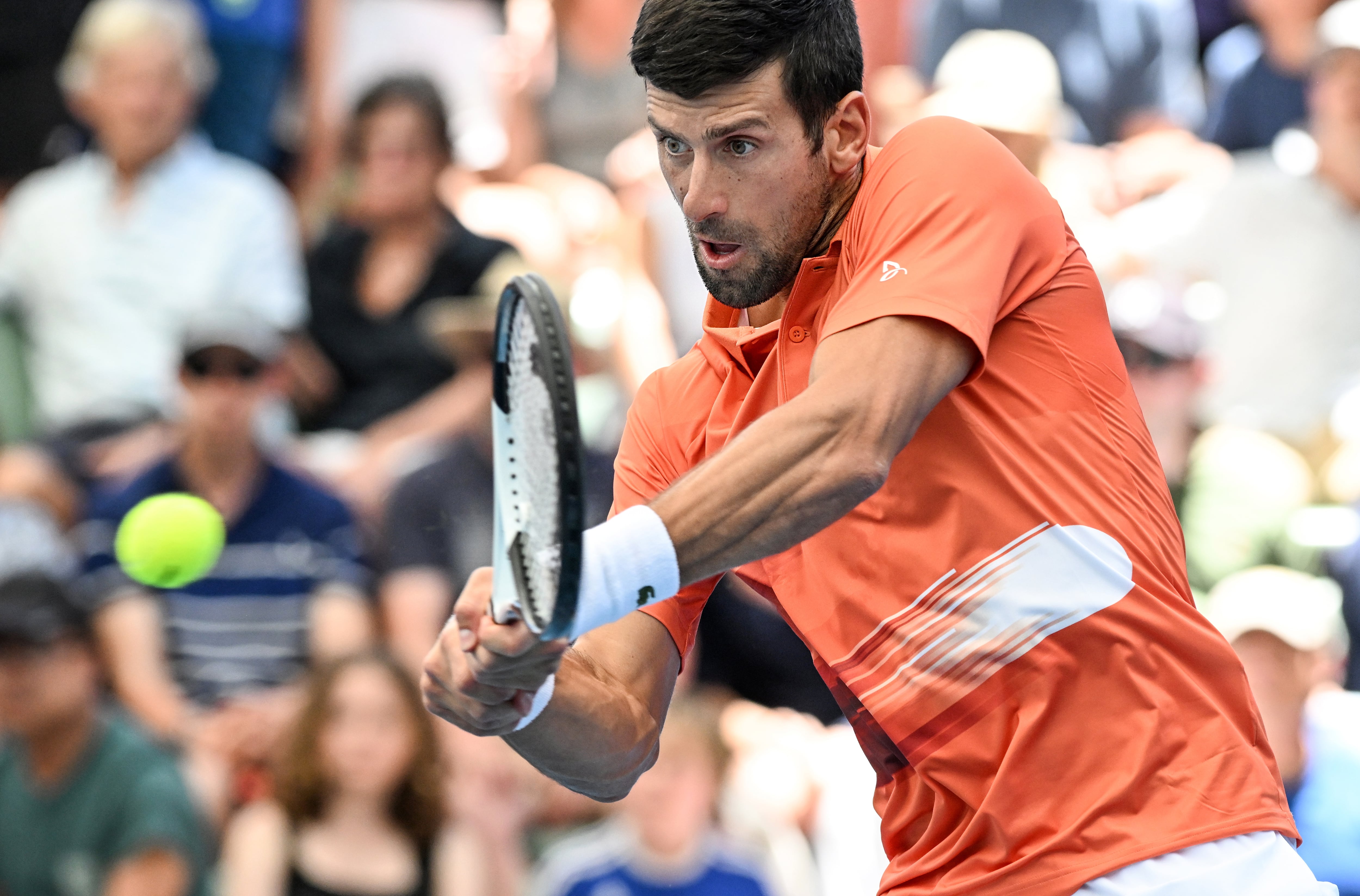 Novak Djokovic, durante el torneo internacional de Adelaide celebrado a inicio de año