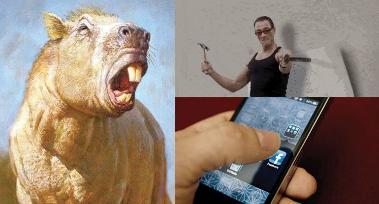 Las imágenes más destacadas de la primera semana de febrero de 2015 en la sección