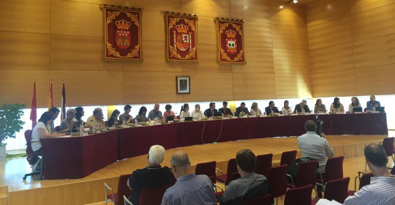 Pleno municipal de septiembre en Tres Cantos